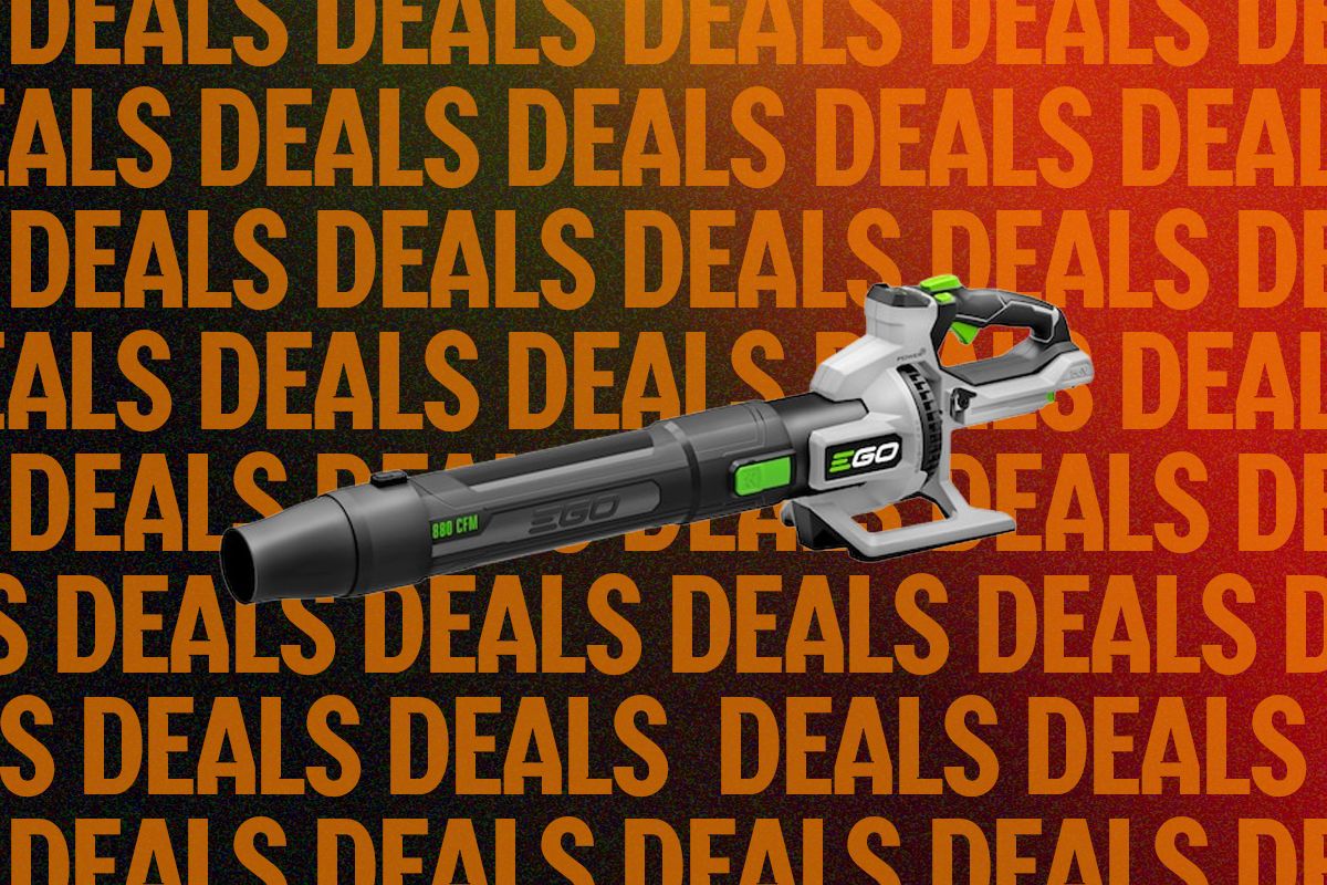 The Best Leaf Blower We’ve Tested Is Ready for Halloween — Wired